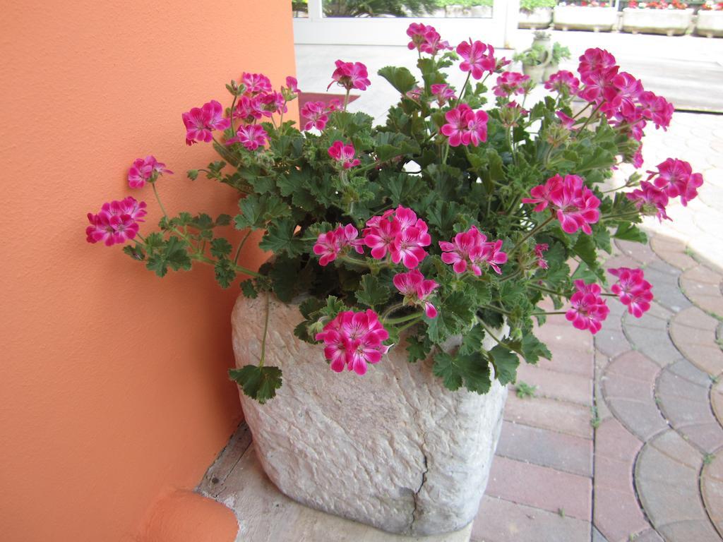 Albergo Villa Mimosa Torbole Sul Garda Exterior photo